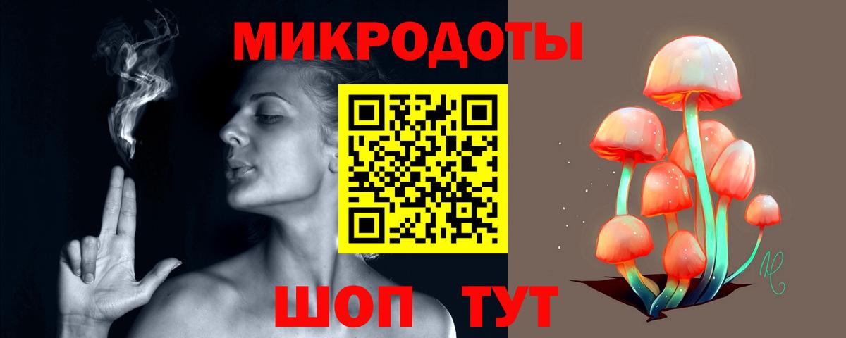 Каменск-Шахтинский  Псилоцибиновые грибы GOLDEN TEACHER  продажа наркотиков  Псилоцибиновые грибы GOLDEN TEACHER  Вход с VPN 